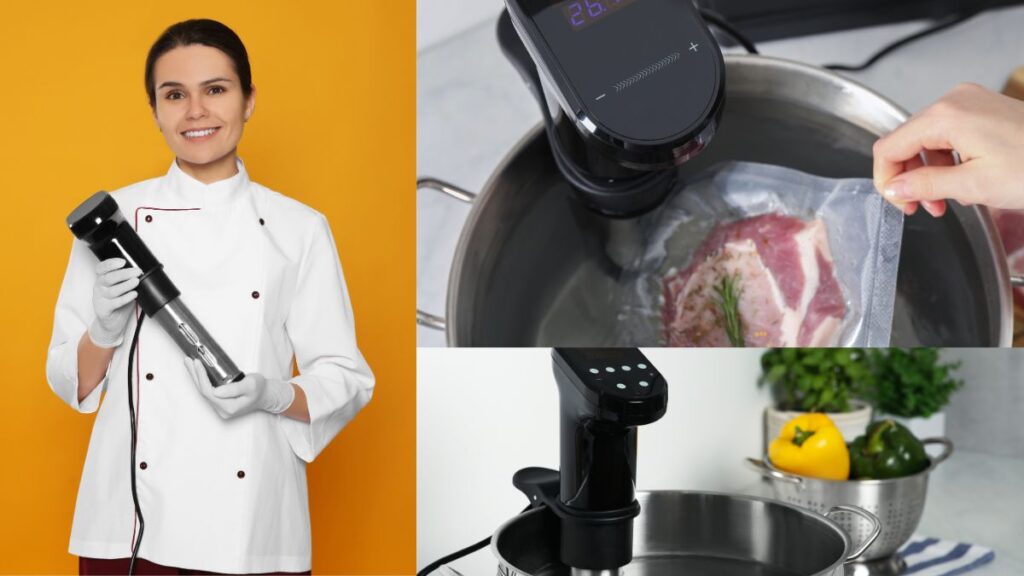 Types of Sous Vide Precision Cookers